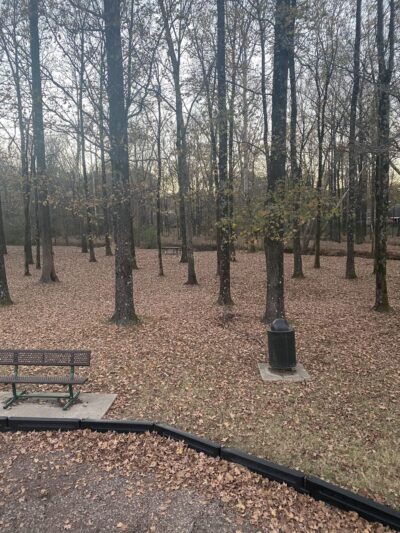 Swinnea Park - Southaven, MS