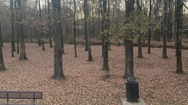 Swinnea Park - Southaven, MS