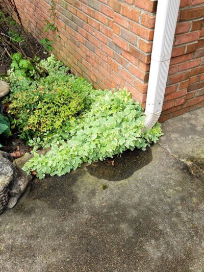 Swinnea Park - Southaven, MS