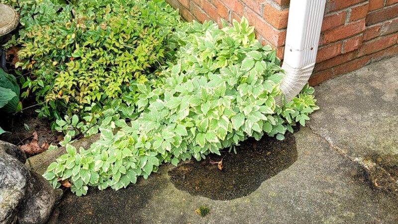 Swinnea Park - Southaven, MS