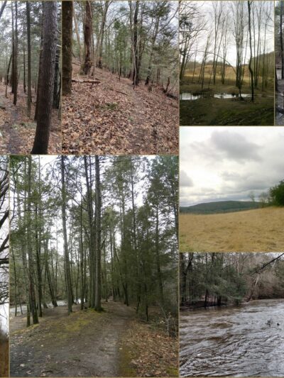 Platt Farm Preserve - Southbury, CT