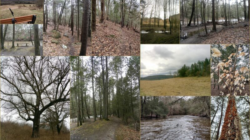 Platt Farm Preserve - Southbury, CT