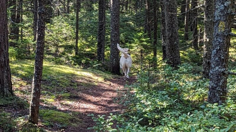 Hendricks Head Preserve - Southport, ME