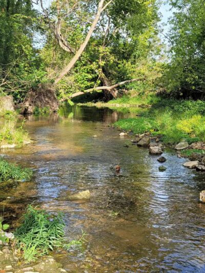 Southwest City Park - Southwest City, MO