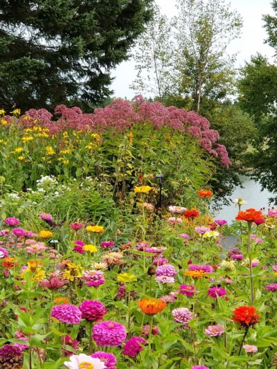 Charlotte Rhoades Butterfly Park - Southwest Harbor, ME