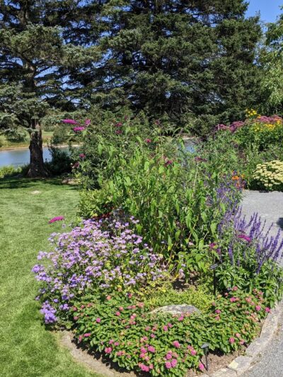 Charlotte Rhoades Butterfly Park - Southwest Harbor, ME