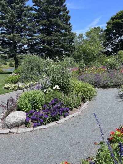 Charlotte Rhoades Butterfly Park - Southwest Harbor, ME