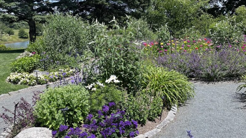 Charlotte Rhoades Butterfly Park - Southwest Harbor, ME