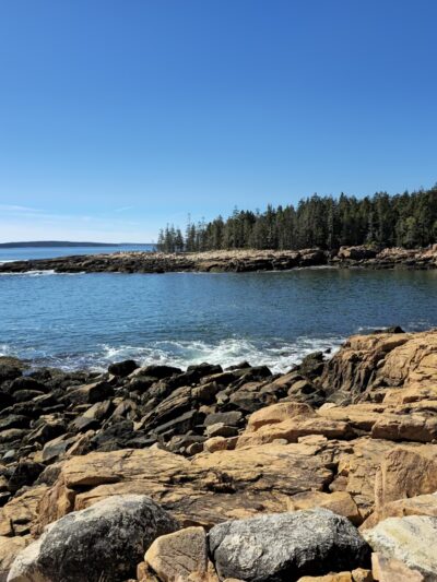 Ship Harbor Trail - Southwest Harbor, ME