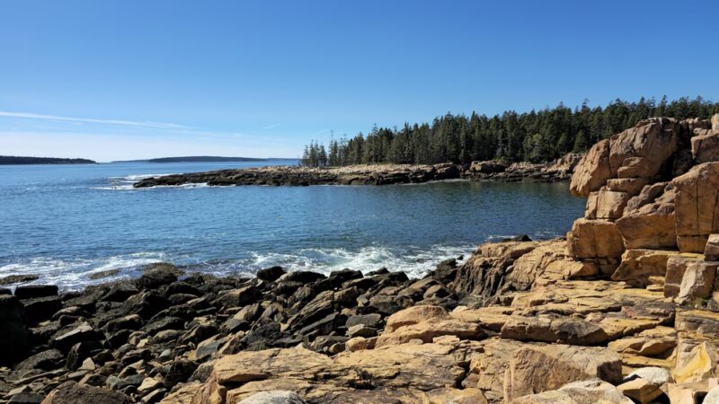 Ship Harbor Trail - Southwest Harbor, ME