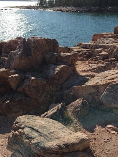 Ship Harbor Trail - Southwest Harbor, ME