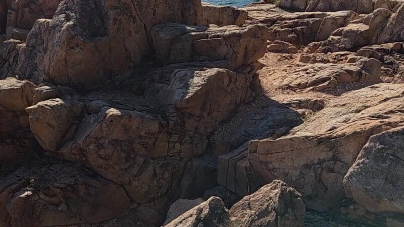 Ship Harbor Trail - Southwest Harbor, ME