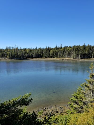 Ship Harbor Trail - Southwest Harbor, ME