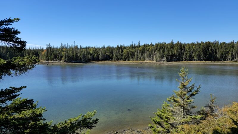 Ship Harbor Trail - Southwest Harbor, ME