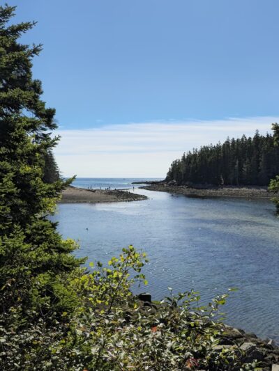 Ship Harbor Trail - Southwest Harbor, ME