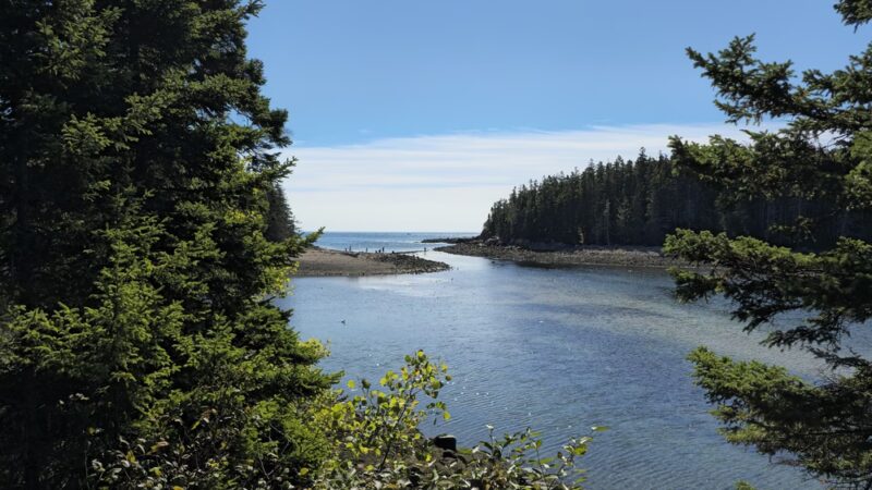 Ship Harbor Trail - Southwest Harbor, ME