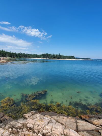 Wonderland Trail - Southwest Harbor, ME
