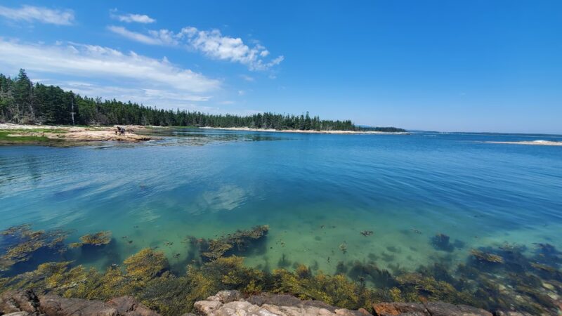 Wonderland Trail - Southwest Harbor, ME