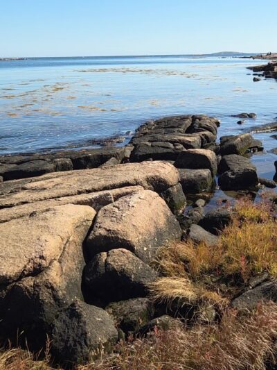 Wonderland Trail - Southwest Harbor, ME