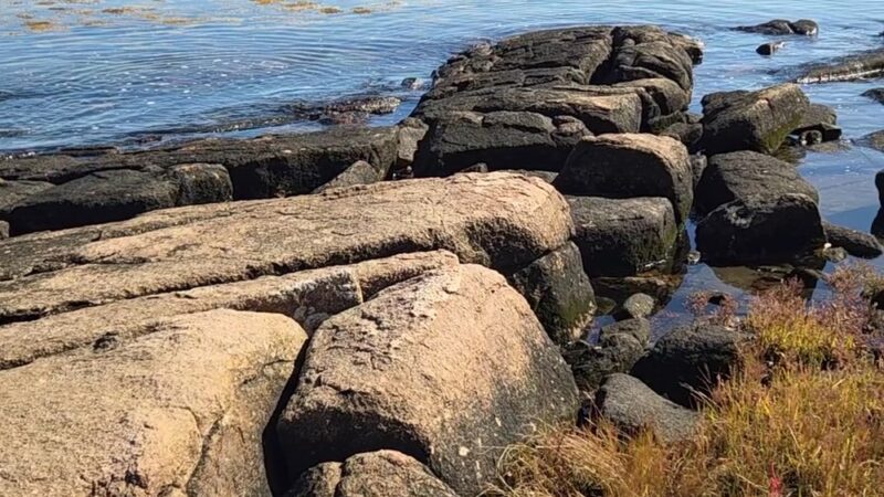Wonderland Trail - Southwest Harbor, ME