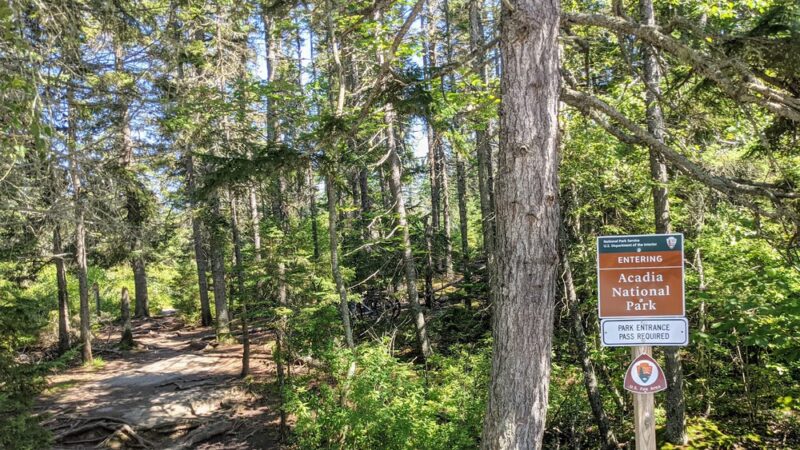 Wonderland Trail - Southwest Harbor, ME