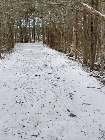 Wonderland Trail - Southwest Harbor, ME