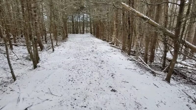 Wonderland Trail - Southwest Harbor, ME
