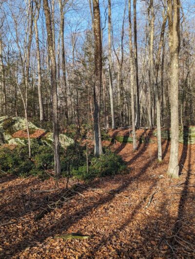 Granville Gorge - Southwick, MA