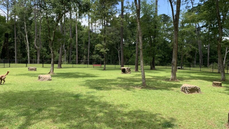 Loyalty Dog Park - Spanish Fort, AL