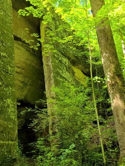 Ben's Run - Spencer, WV