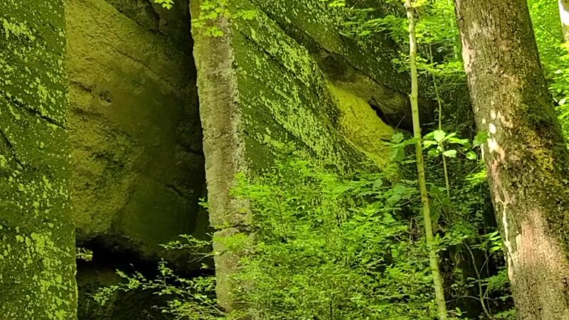 Ben's Run - Spencer, WV