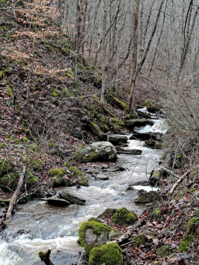 Ben's Run - Spencer, WV