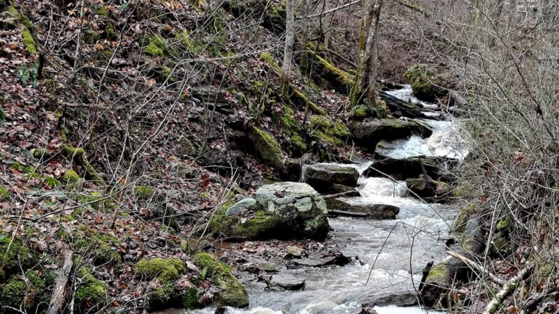 Ben's Run - Spencer, WV