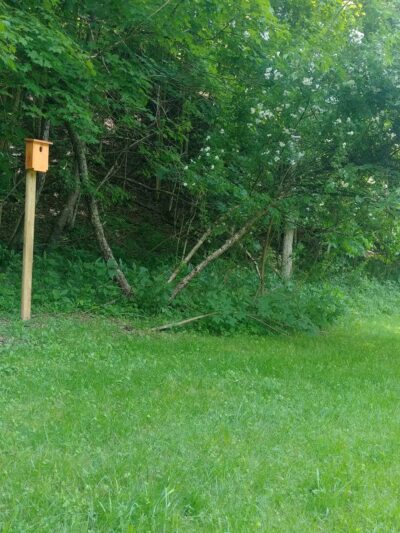 UMC Community Park - Spencer, WV