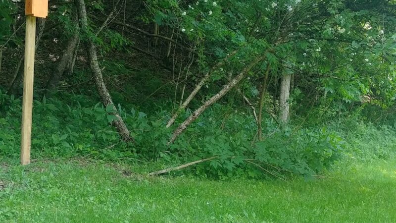 UMC Community Park - Spencer, WV