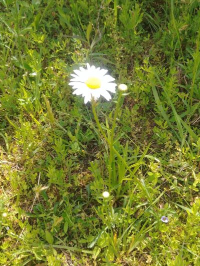 UMC Community Park - Spencer, WV