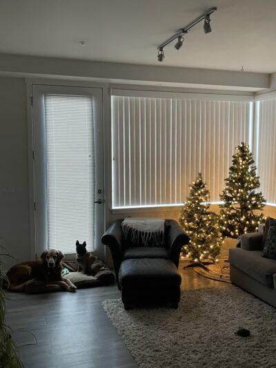 Pine Valley Ranch Phase 2 - Spokane Valley, WA