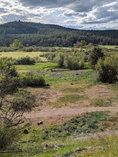 Waikiki Springs Trailhead - Spokane, WA