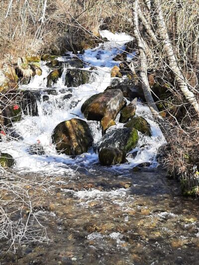 Waikiki Springs Trailhead - Spokane, WA
