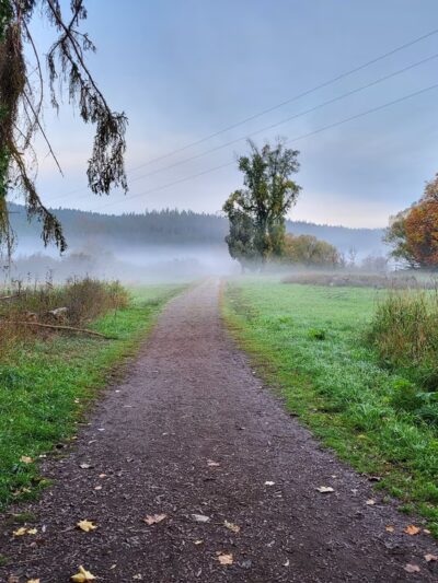 Waikiki Springs Trailhead - Spokane, WA