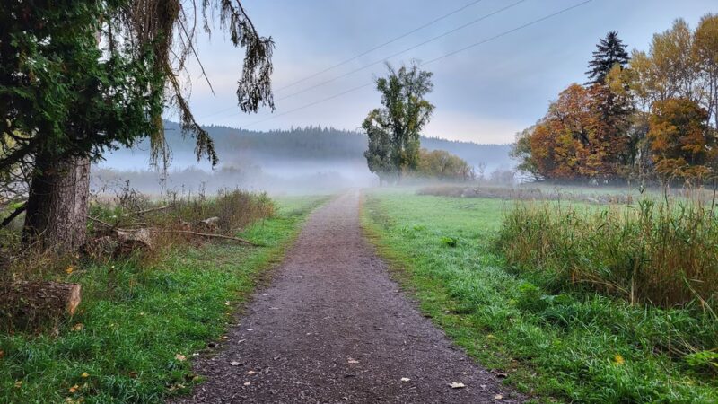 Waikiki Springs Trailhead - Spokane, WA