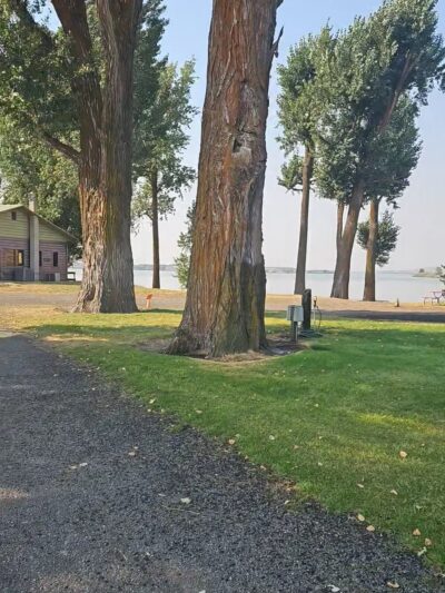 Sprague Lake Resort - Sprague, WA