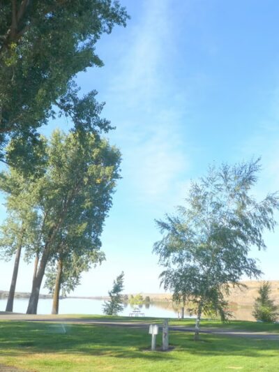 Sprague Lake Resort - Sprague, WA