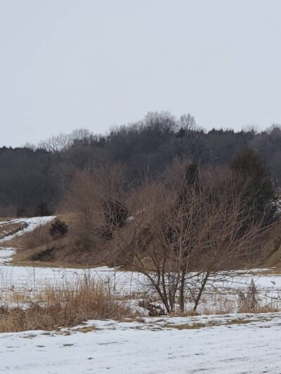 Hansen Hollows - Spragueville, IA