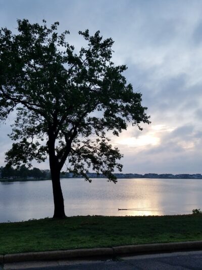 Marucci Memorial Park - Spring Lake, NJ