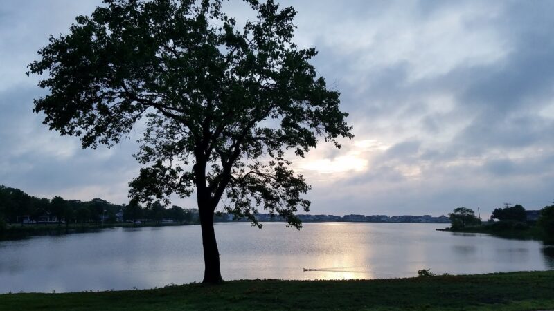 Marucci Memorial Park - Spring Lake, NJ