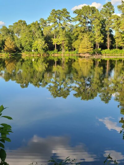 Meyer Park - Spring, TX