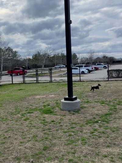 Rob Fleming Dog Park - Spring, TX