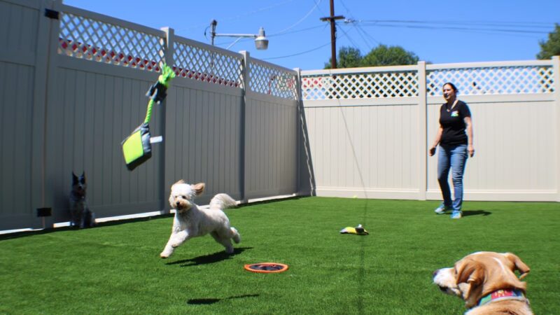 Bark Park - Spring Valley, CA