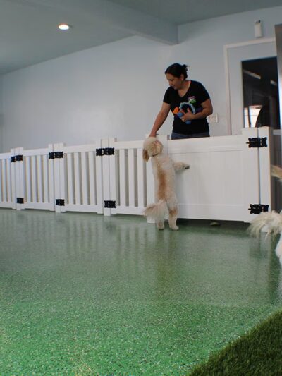 Bark Park - Spring Valley, CA
